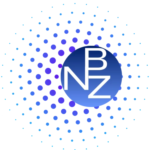 NBZ Learn Hub — Tokenization Education