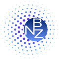 NBZ Learn Hub — Tokenization Education
